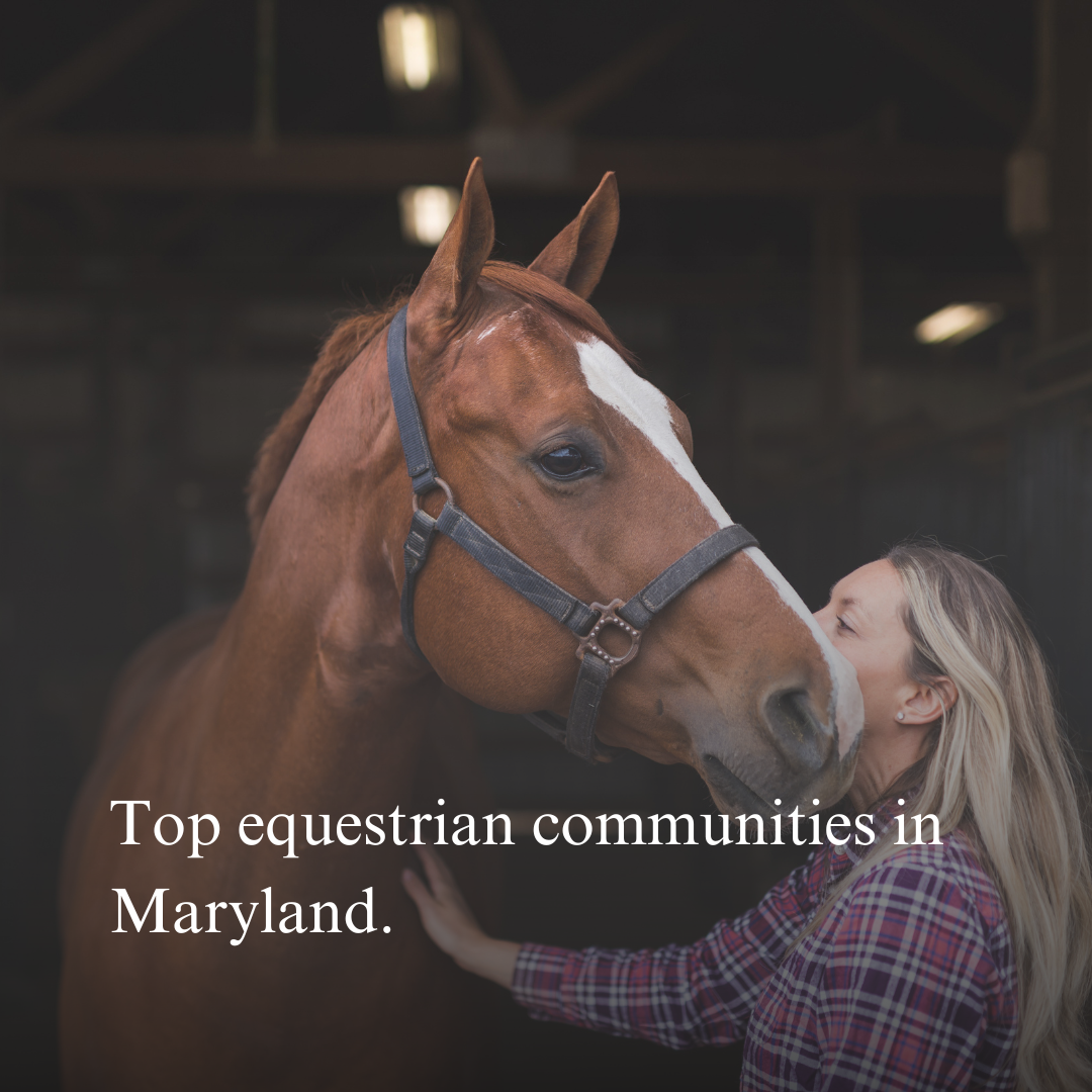 Top Equestrian Communities in Maryland: Where Horse Lovers Call Home